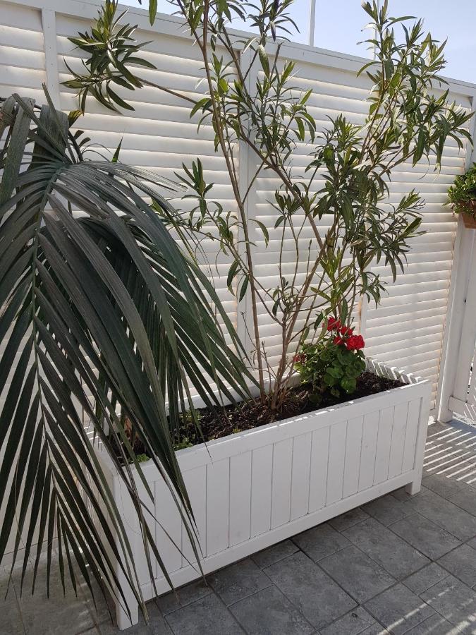 Citrus Boutique Hotel Baku Exterior photo
